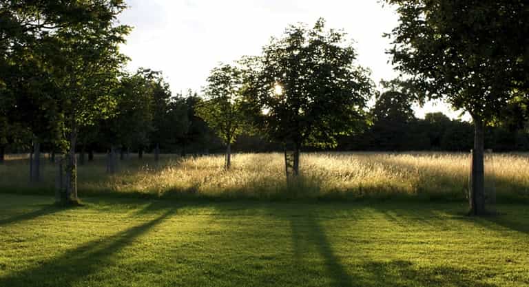 Toddler dies following Phoenix Park hit and run Toddler dies following Phoenix Park hit and run