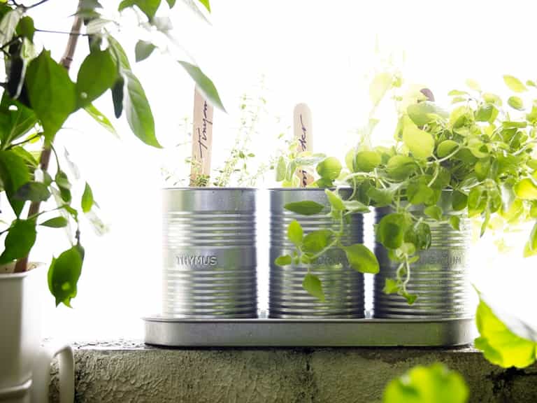 Summer is hotting up at IKEA: Here’s what we’re lusting after right now Summer is hotting up at IKEA: Here’s what we’re lusting after right now