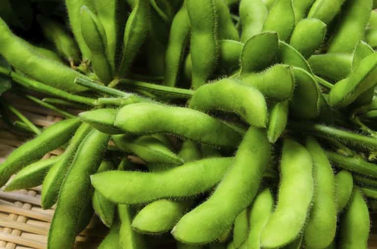 STUDY: Eat THIS to beat afternoon cravings STUDY: Eat THIS to beat afternoon cravings
