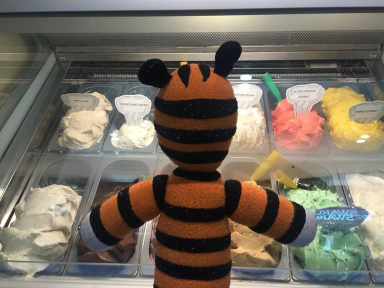 A young boy who lost his teddy at an airport got the BEST surprise A young boy who lost his teddy at an airport got the BEST surprise