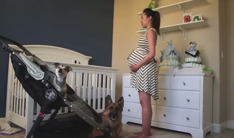 This cute pregnancy time-lapse video isn’t JUST about the growing bump This cute pregnancy time-lapse video isn’t JUST about the growing bump