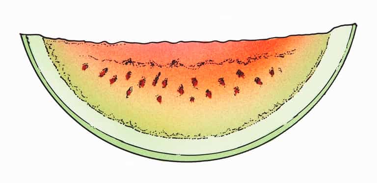 3 cool ways to prep a watermelon for little fingers 3 cool ways to prep a watermelon for little fingers