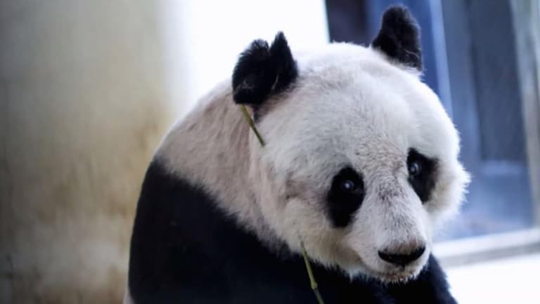 Is world’s oldest Granny also world’s cutest granny? Is world’s oldest Granny also world’s cutest granny?