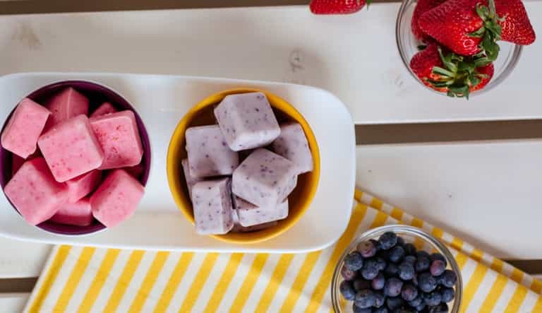 Froyo bites: Adult-approved healthy snacks for kids Froyo bites: Adult-approved healthy snacks for kids