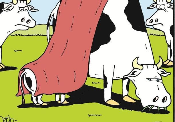#WorldBreastFeedingWeek: 10 funny and honest breastfeeding cartoons #WorldBreastFeedingWeek: 10 funny and honest breastfeeding cartoons