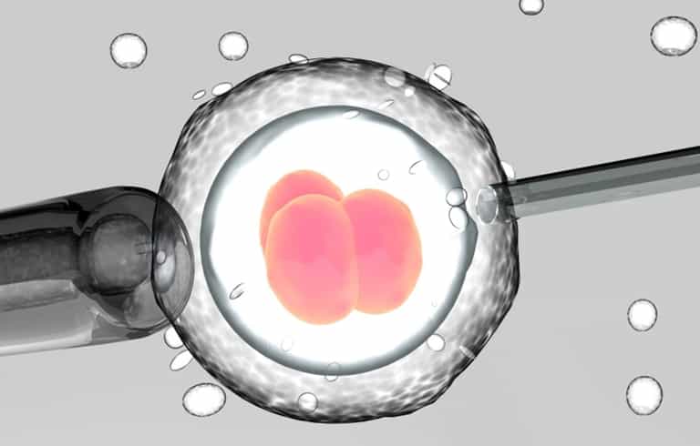 GROUNDBREAKING new study says embryos are just as effective frozen as fresh GROUNDBREAKING new study says embryos are just as effective frozen as fresh