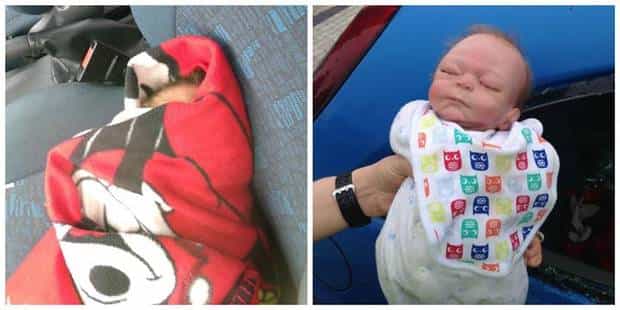 Police confuse doll with baby… understandably! Police confuse doll with baby… understandably!
