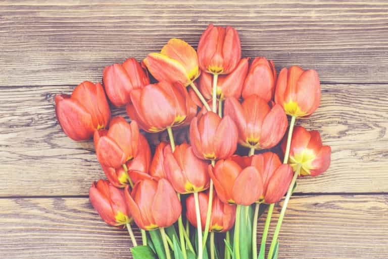 Books of condolence open today in memory of those killed in Carrickmines tragedy Books of condolence open today in memory of those killed in Carrickmines tragedy