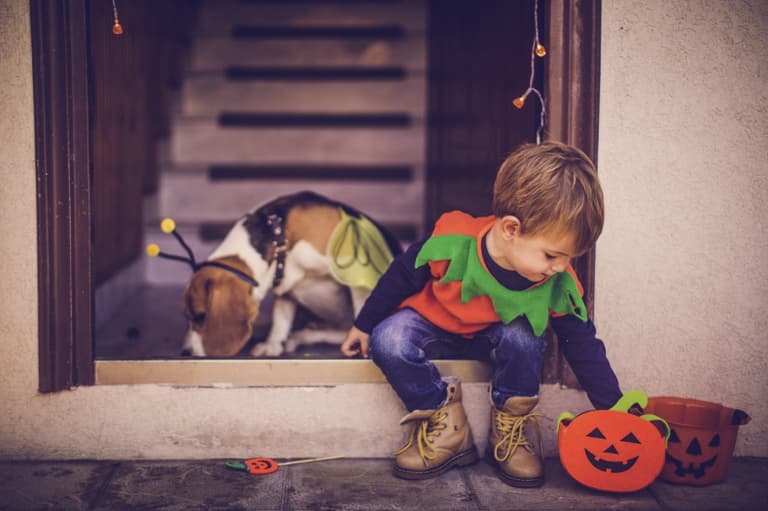 6 tips to keep your little ones safe this Halloween night 6 tips to keep your little ones safe this Halloween night