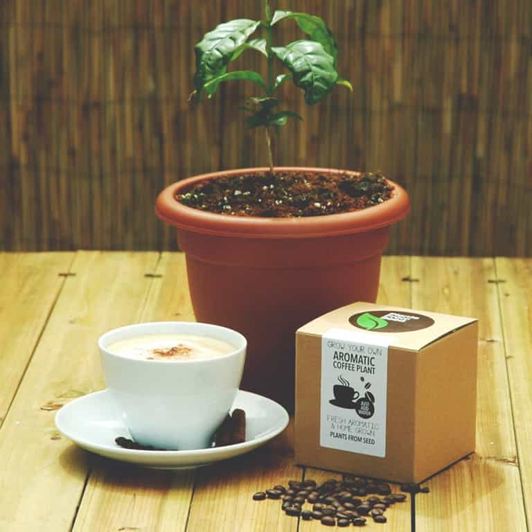 Home-grown gifts for kids: 10 of the best Irish toys Home-grown gifts for kids: 10 of the best Irish toys