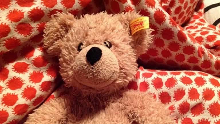Have YOU seen this very special teddy bear? Have YOU seen this very special teddy bear?