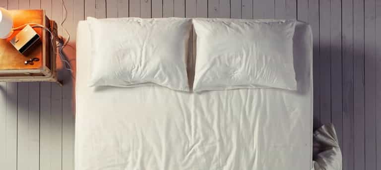 You might be sharing your bed with MILLIONS of tiny spiders You might be sharing your bed with MILLIONS of tiny spiders