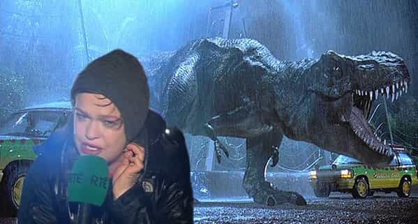 Storm Desmond: Teresa Mannion is the new Hero of the Nation Storm Desmond: Teresa Mannion is the new Hero of the Nation