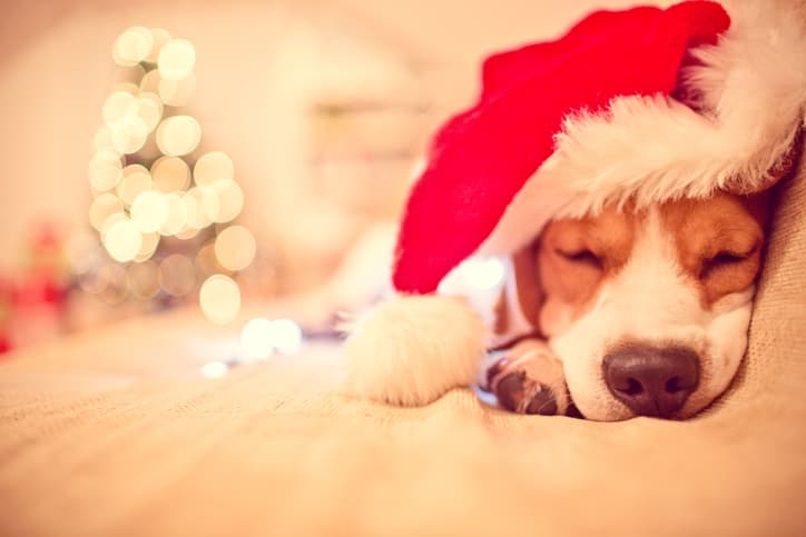 How get the most sleep possible ahead of Santa’s visit this Christmas Eve How get the most sleep possible ahead of Santa’s visit this Christmas Eve