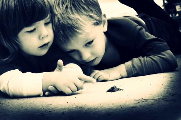 What Do Small Kids Really Believe About The Birds And The Bees? What Do Small Kids Really Believe About The Birds And The Bees?