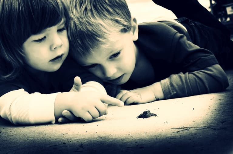 What Do Small Kids Really Believe About The Birds And The Bees? What Do Small Kids Really Believe About The Birds And The Bees?