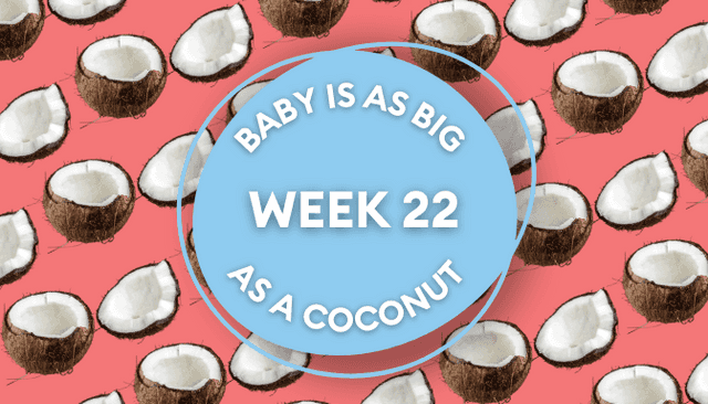 Your baby at 22 weeks pregnant: Week-by-week guide to development Your baby at 22 weeks pregnant: Week-by-week guide to development