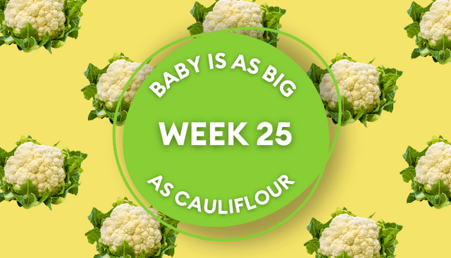 Your baby at 25 weeks pregnant: Week-by-week guide to development Your baby at 25 weeks pregnant: Week-by-week guide to development