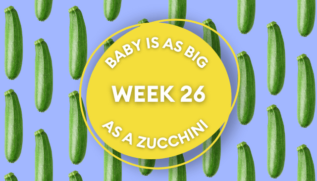 Your baby at 26 weeks pregnant: Week-by-week guide to development Your baby at 26 weeks pregnant: Week-by-week guide to development