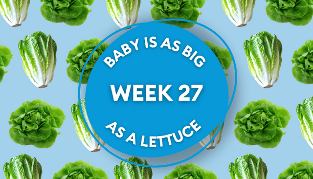 Your baby at 27 weeks pregnant: Week-by-week guide to development Your baby at 27 weeks pregnant: Week-by-week guide to development