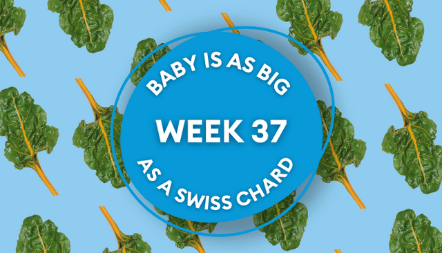 Your baby at 37 weeks pregnant: Week-by-week guide to development Your baby at 37 weeks pregnant: Week-by-week guide to development