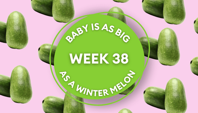 Your baby at 38 weeks pregnant: Week-by-week guide to development Your baby at 38 weeks pregnant: Week-by-week guide to development