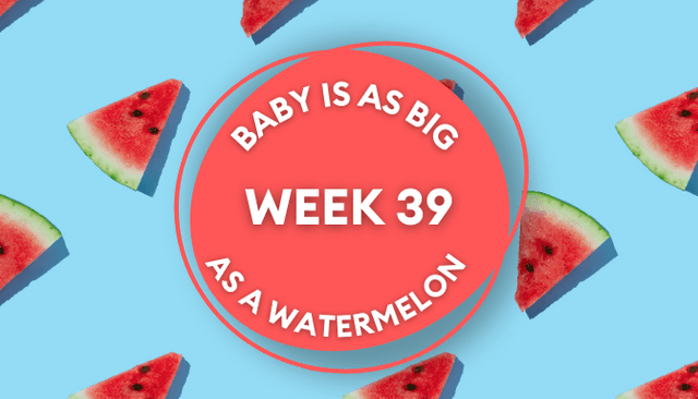 Your baby at 39 weeks pregnant: Week-by-week guide to development Your baby at 39 weeks pregnant: Week-by-week guide to development