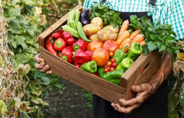 The 99c Vegetable That Could Cut Your Risk Of Cancer By 60% The 99c Vegetable That Could Cut Your Risk Of Cancer By 60%