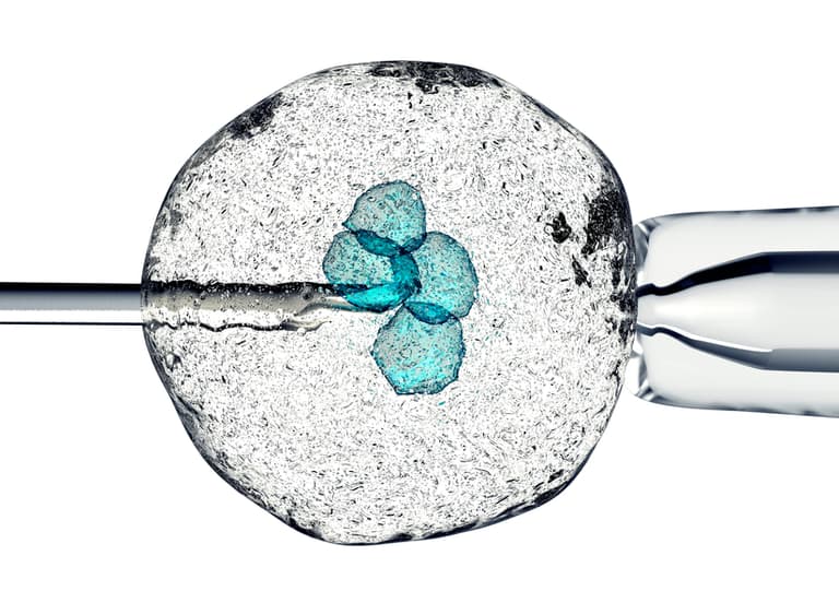 Motherless Babies Could Soon Be A Thing Motherless Babies Could Soon Be A Thing