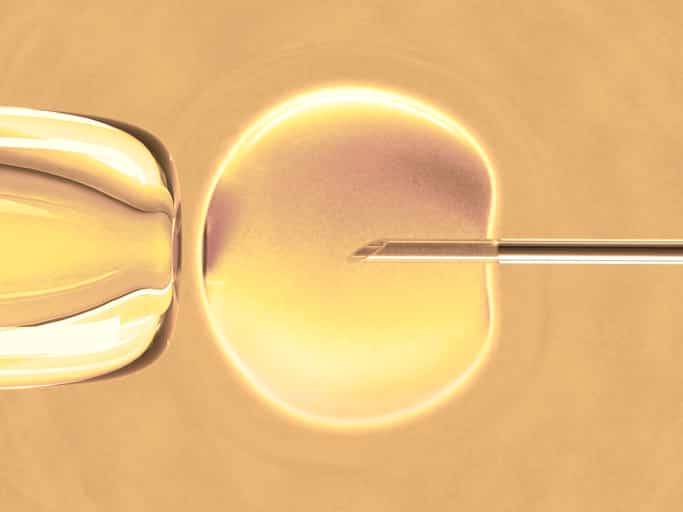 Chat Show Shocker: “I’m Not Paying For You To Have An IVF Baby” Chat Show Shocker: “I’m Not Paying For You To Have An IVF Baby”
