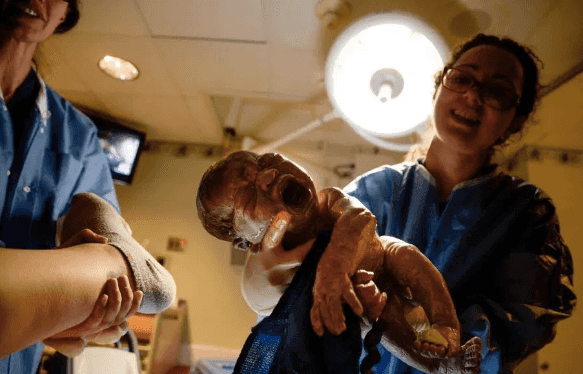 This Mum Snapped Her Own Pictures Of Her Son’s Birth And They Are INCREDIBLE This Mum Snapped Her Own Pictures Of Her Son’s Birth And They Are INCREDIBLE
