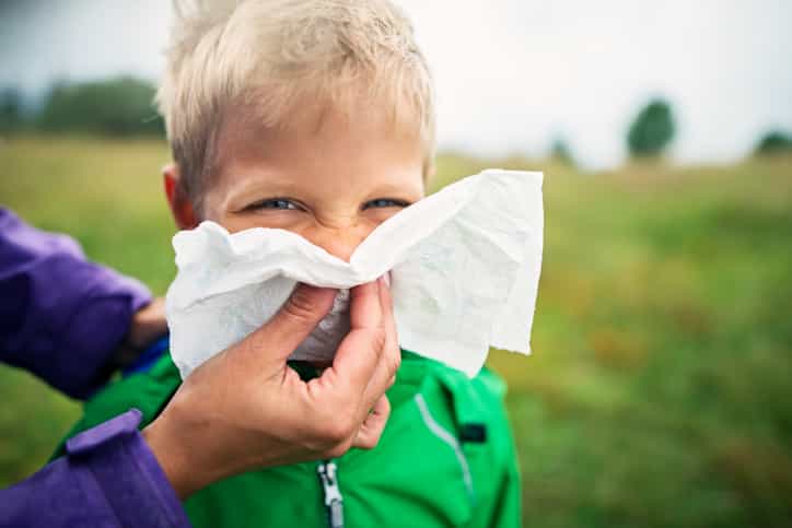 Could a tiny red light be the solution to your hay fever problems? Could a tiny red light be the solution to your hay fever problems?