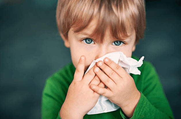 Sniffle season: 5 flu-fighting foods to help keep your family healthy Sniffle season: 5 flu-fighting foods to help keep your family healthy