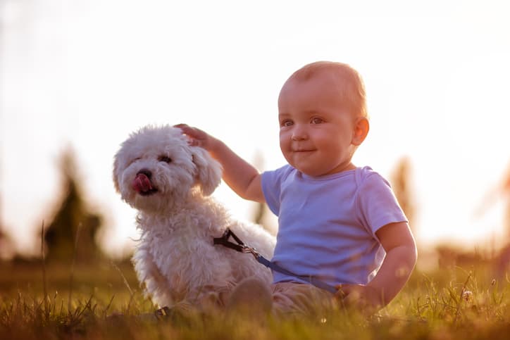 Research reveals Irish people take more photos of their dogs than their babies Research reveals Irish people take more photos of their dogs than their babies