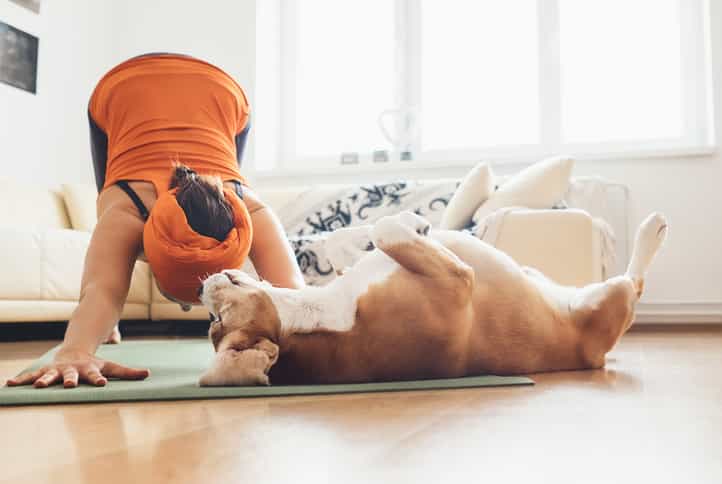 Dog Yoga is the brand new fitness trend that’s the puppy-lovers dream Dog Yoga is the brand new fitness trend that’s the puppy-lovers dream