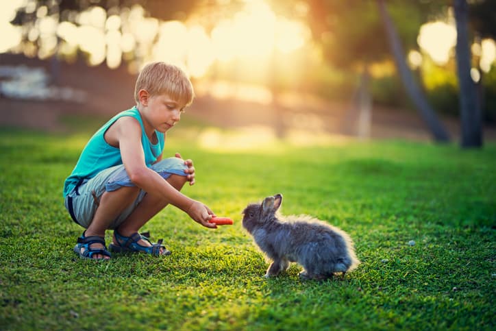 Bunnies are for life, not just for Easter Bunnies are for life, not just for Easter