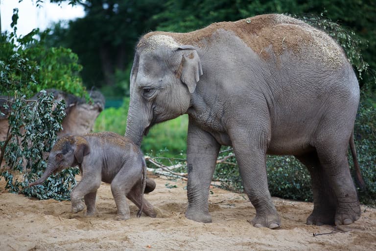 RTÉ’s hugely popular The Zoo is returning to our screens this weekend RTÉ’s hugely popular The Zoo is returning to our screens this weekend