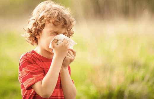 Absolutely everything you need to know about hay fever – and how to tackle it Absolutely everything you need to know about hay fever – and how to tackle it