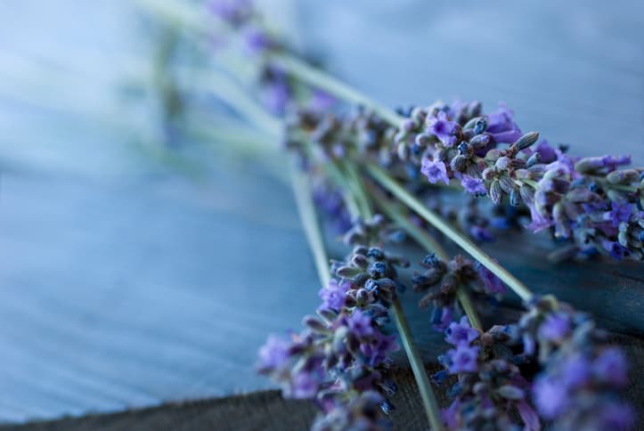 This easy-to-make lavender cheesecake looks honestly too pretty to eat This easy-to-make lavender cheesecake looks honestly too pretty to eat