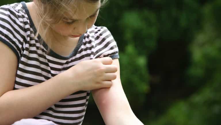 Lyme disease warning: HSE urges caution over tick bites ahead of the summer Lyme disease warning: HSE urges caution over tick bites ahead of the summer