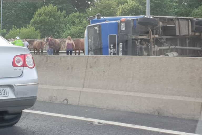 The M50 southbound is closed as a truck carrying several horses overturns The M50 southbound is closed as a truck carrying several horses overturns
