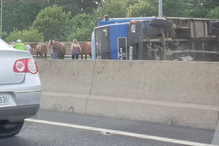 The M50 southbound is closed as a truck carrying several horses overturns The M50 southbound is closed as a truck carrying several horses overturns