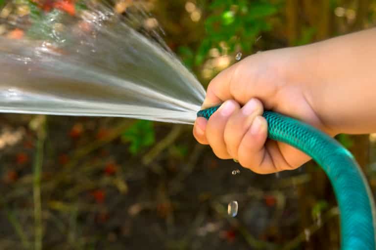 How Gardaí can prosecute anyone found in breach of the hosepipe ban How Gardaí can prosecute anyone found in breach of the hosepipe ban