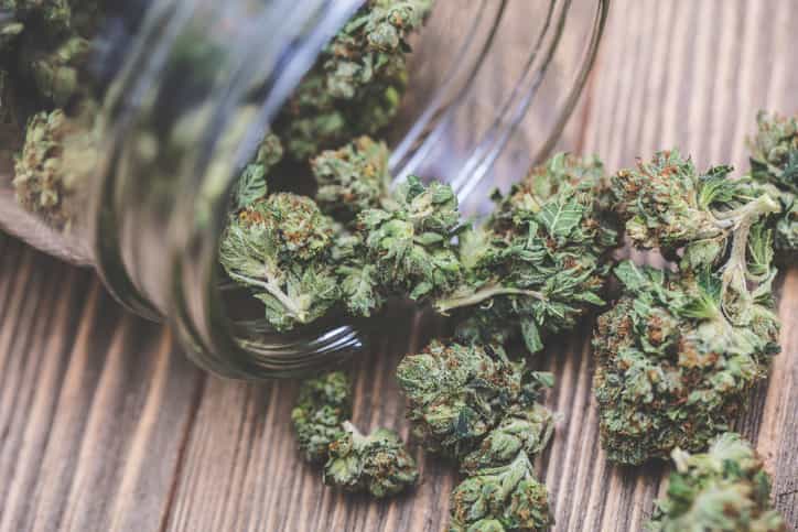 Cannabis can stay in breast milk for almost a week after ingestion, finds study Cannabis can stay in breast milk for almost a week after ingestion, finds study