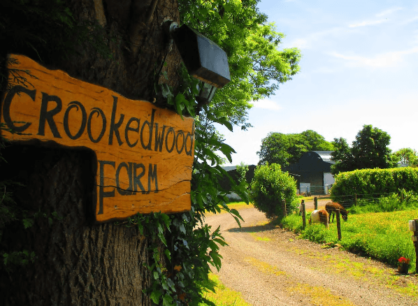 Seven picturesque working farms you and your family can stay at across Ireland Seven picturesque working farms you and your family can stay at across Ireland