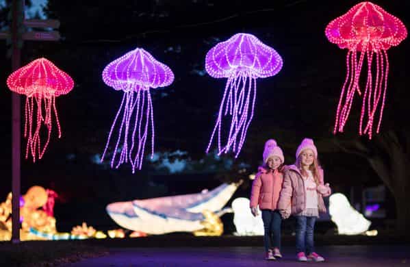 Wild Lights in Dublin Zoo cancelled tonight due to Met Eireann warning Wild Lights in Dublin Zoo cancelled tonight due to Met Eireann warning