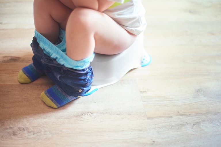 Toilet training regression: What it is and what can you do to help solve it Toilet training regression: What it is and what can you do to help solve it