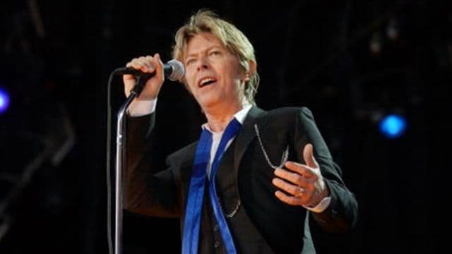 There will be a David Bowie themed family fun day at the Phoenix Park next Sunday There will be a David Bowie themed family fun day at the Phoenix Park next Sunday
