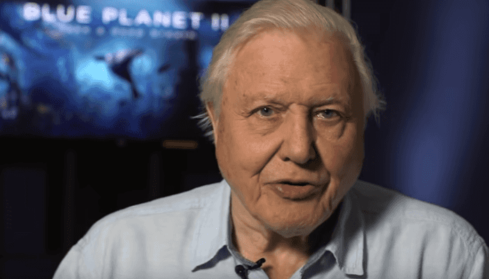 BBC announce David Attenborough has two nature documentaries coming this year BBC announce David Attenborough has two nature documentaries coming this year