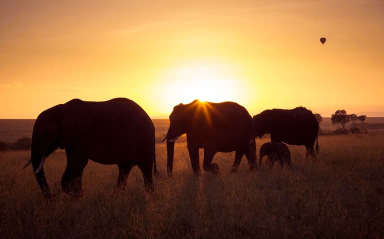 How to travel South Africa with the kids and make for a magical experience How to travel South Africa with the kids and make for a magical experience
